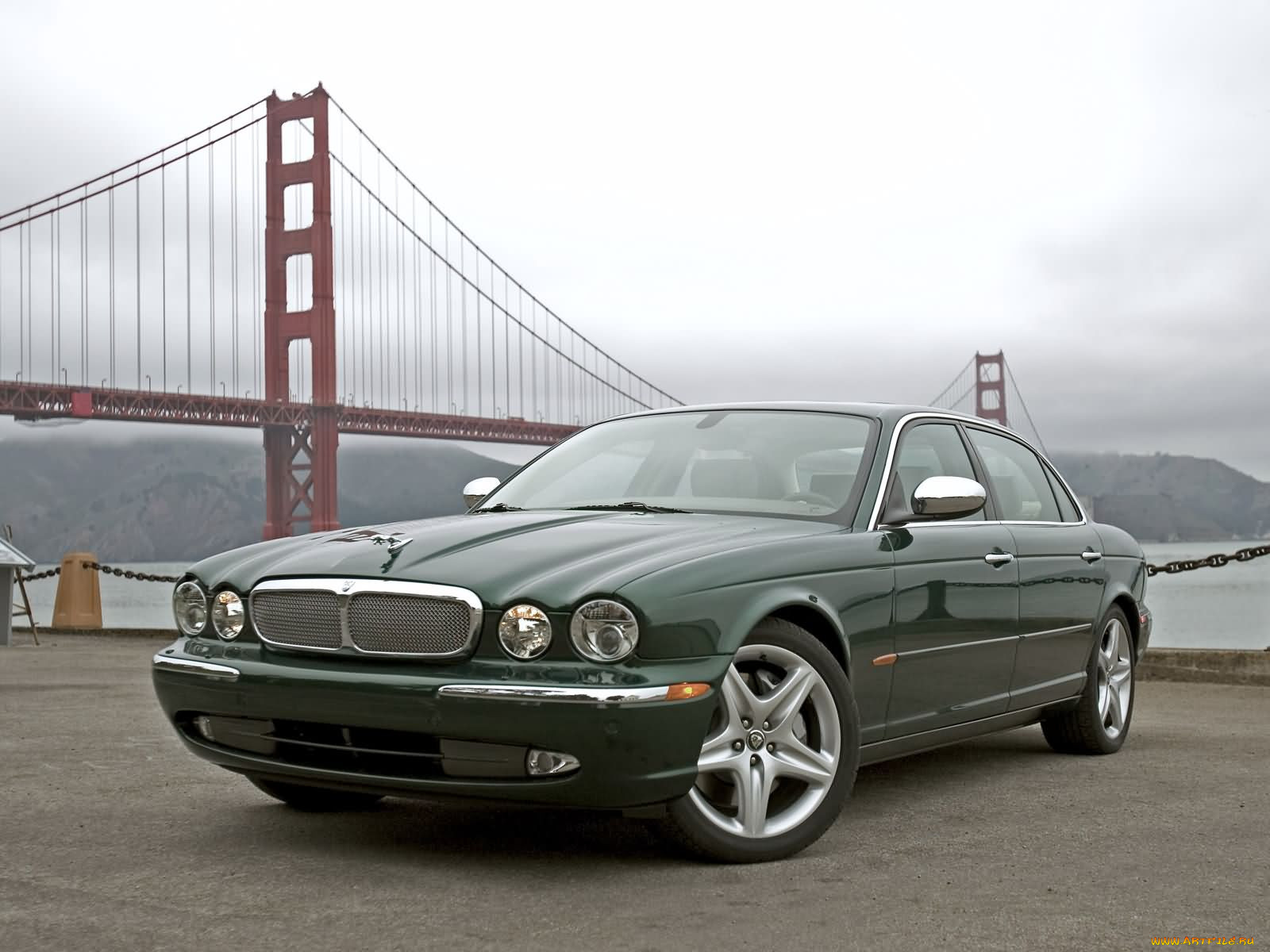 , jaguar